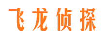 桓仁市调查公司